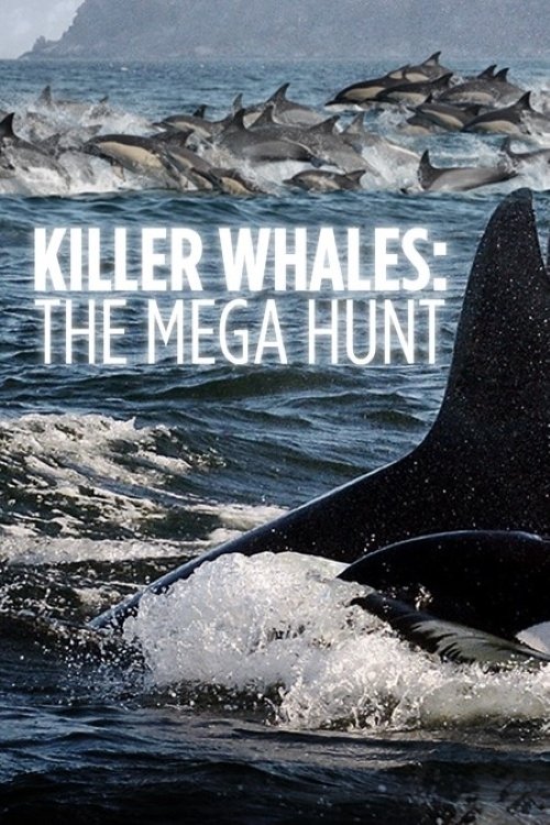 Movie poster for Killer Whales: the Mega Hunt (2016)