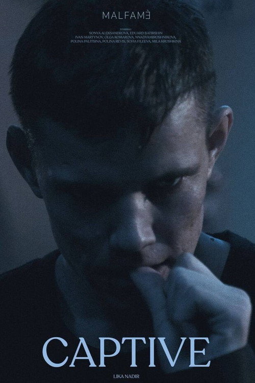 Movie poster for Captive (2024)