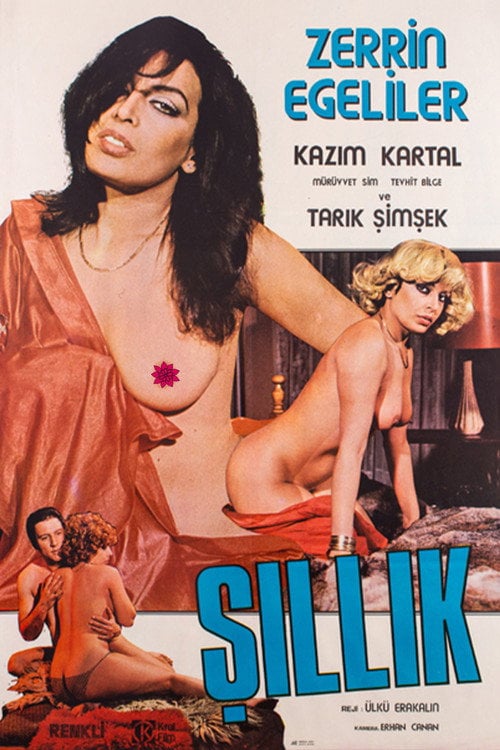 Movie poster for Şıllık (1979)