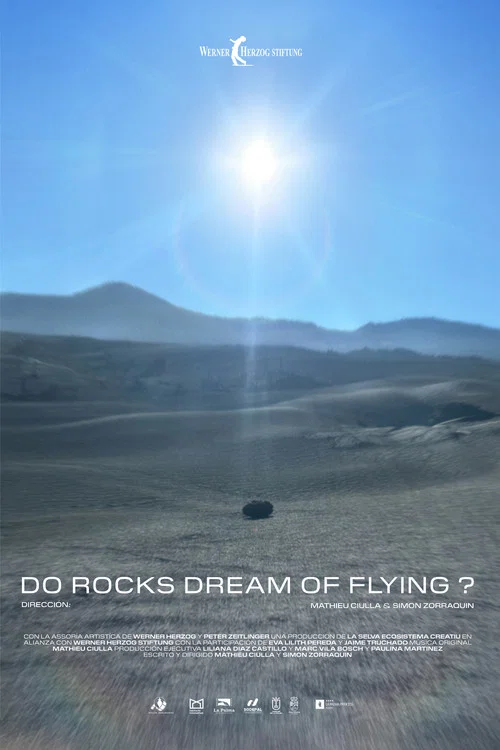 Movie poster for Do Rocks Dream of Flying ? (2025)
