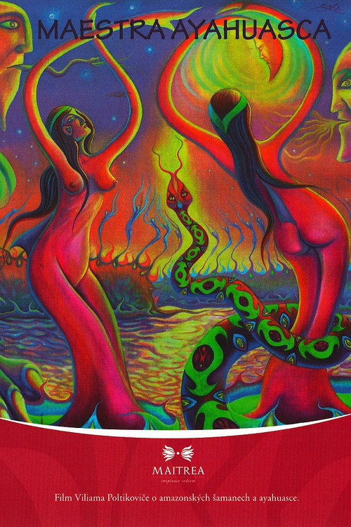 Movie poster for Maestra Ayahuasca (2011)