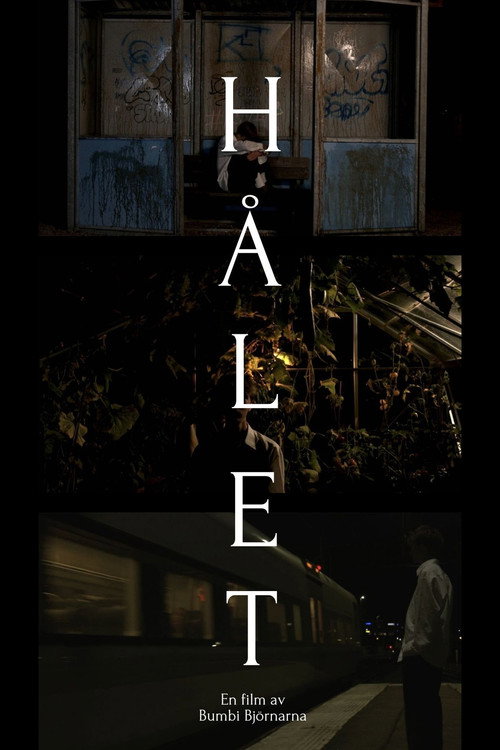 Movie poster for Hålet (2023)