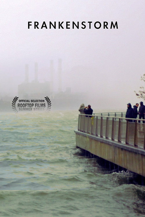 Movie poster for FRANKENSTORM: From Across the East River