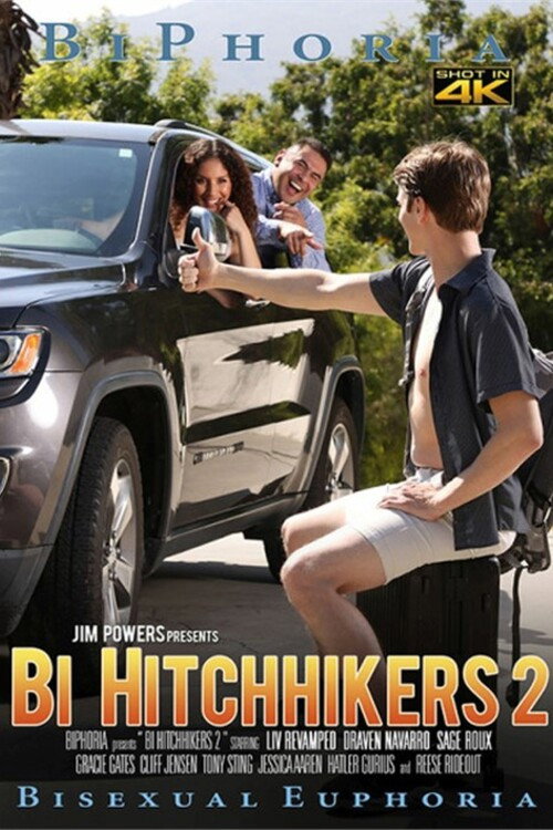 Movie poster for Bi Hitchhikers 2 (2025)