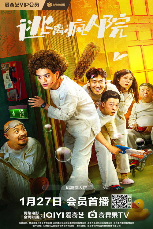 Movie poster for Escaping The Madhouse (2024)