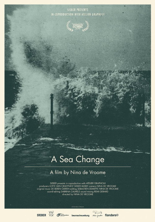 Movie poster for A Sea Change (2016)