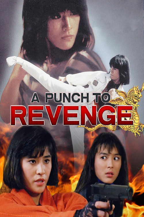 Movie poster for A Punch to Revenge (1989)