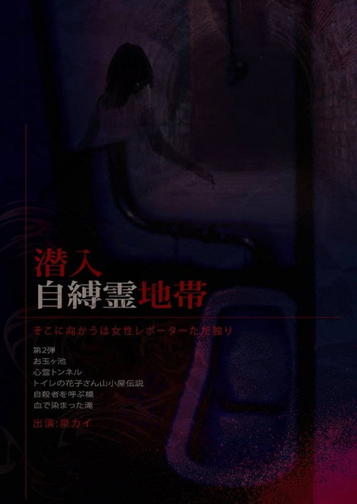 Movie poster for Infiltration: The Haunted Zone - A Female Reporter Goes Alone. (2009)