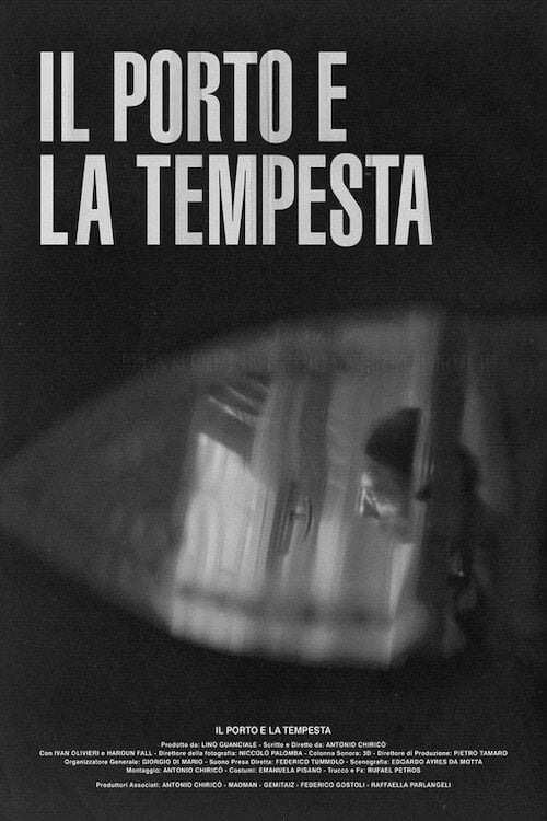 Movie poster for Il porto e la tempesta (2020)