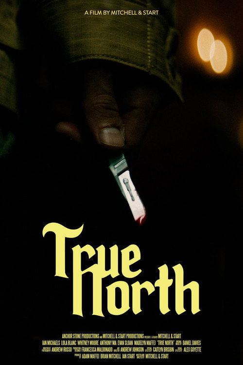 Movie poster for True North (2021)