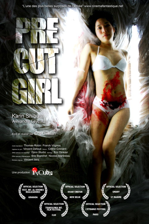 Movie poster for Precut Girl (2009)