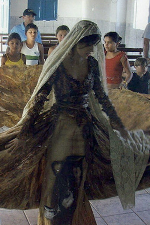 Movie poster for Viva o Cinema Brasileiro! (2008)