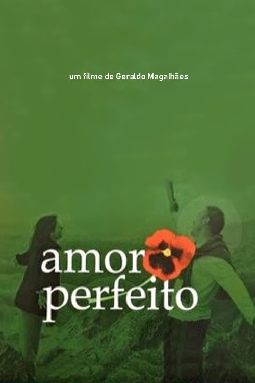 Movie poster for Amor Perfeito (2005)