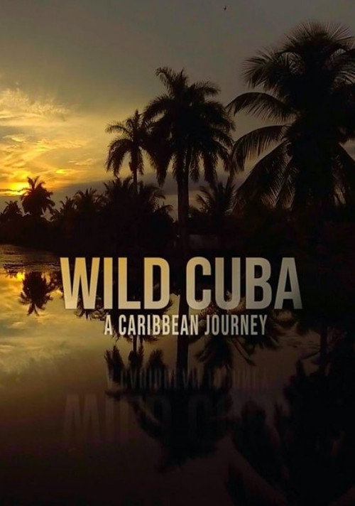 Movie poster for Wild Cuba: A Caribbean Journey (2020)