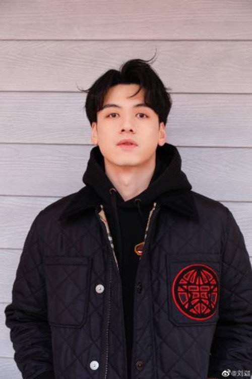 Photo of Liu Jia, Acting