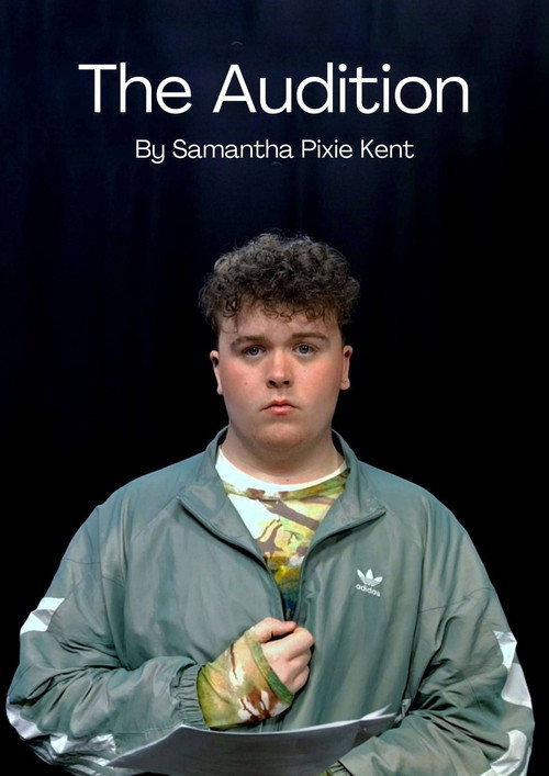 Movie poster for The Audition (2025)