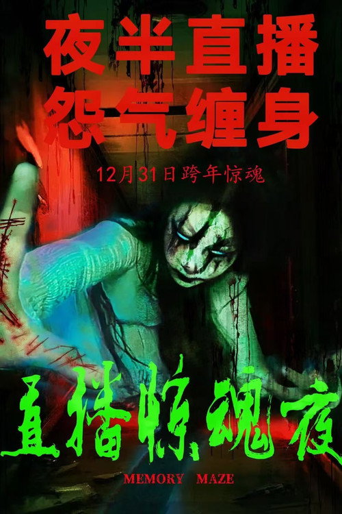 Movie poster for Memory Maze (2024)