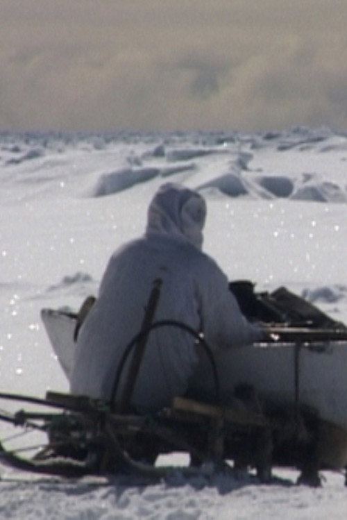 Movie poster for Seal Hunt (2001)