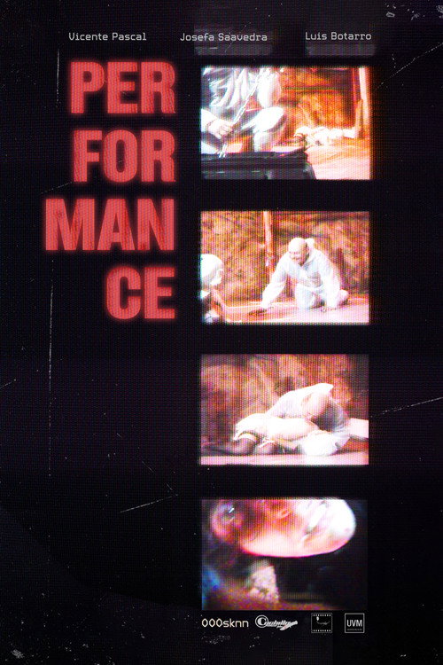 Movie poster for Performance (2026)