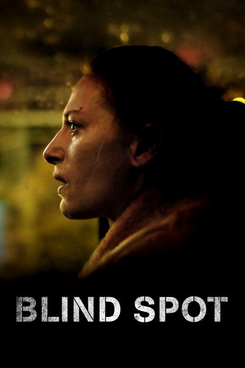 Movie poster for Blind Spot (2018)