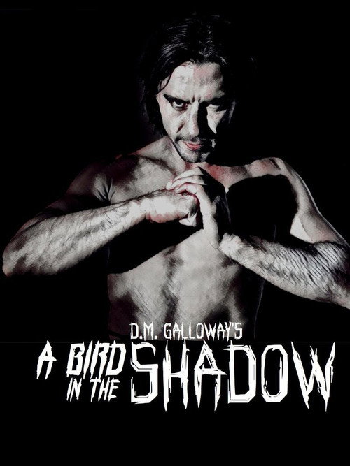 Movie poster for A Bird In The Shadow (2017)
