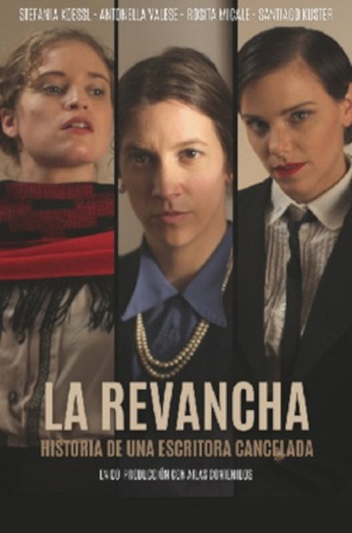 Movie poster for The revenge