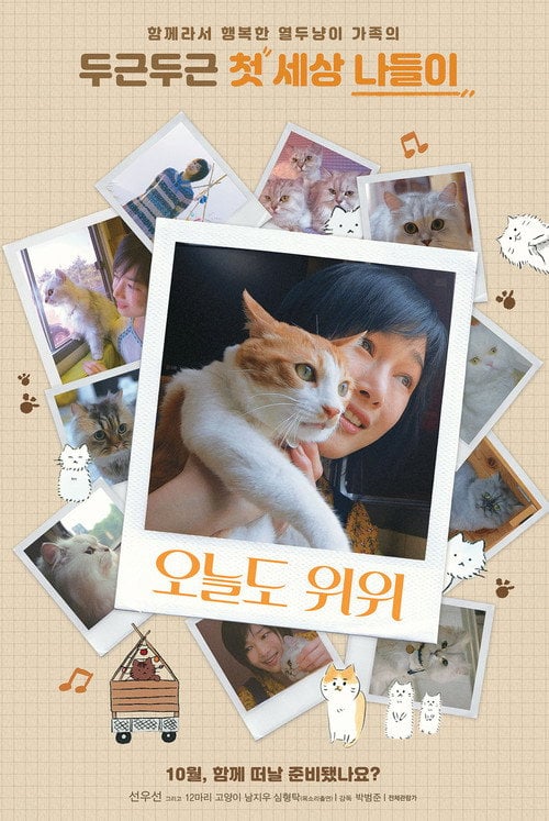 Movie poster for The Journey of the 12 Cats (2019)