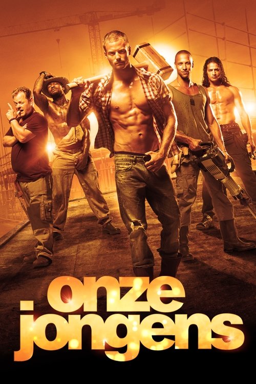 Movie poster for Boys Will Be Boys (2016)
