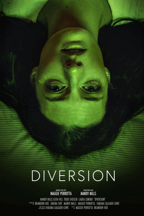 Movie poster for Diversion