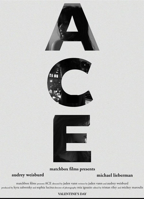 Movie poster for ACE (2024)