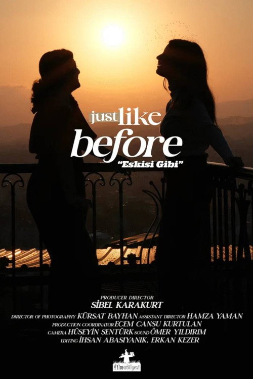 Movie poster for Just Like Before (2025)