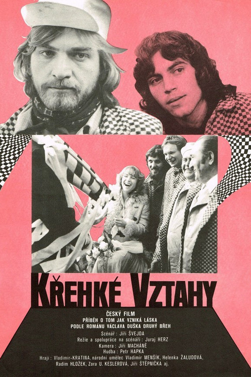 Movie poster for Fragile Relationships (1980)