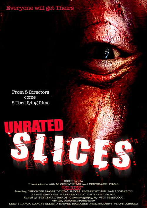 Movie poster for Slices (2008)