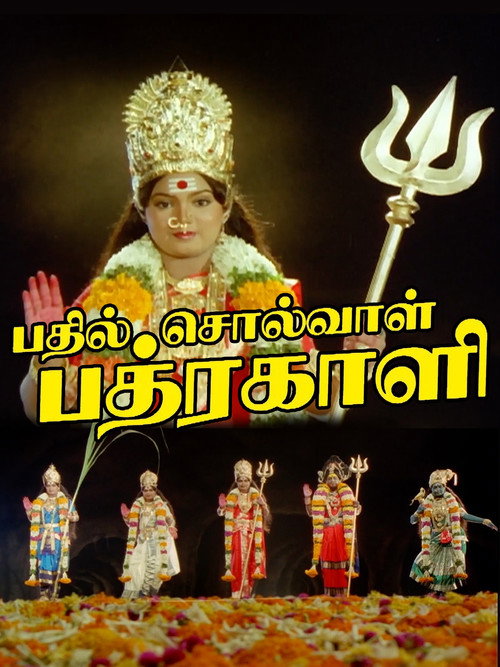 Movie poster for Bhadil Solval Bhadrakali (1986)