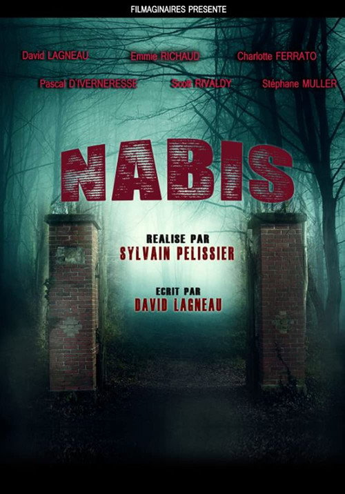Movie poster for Nabis (2018)