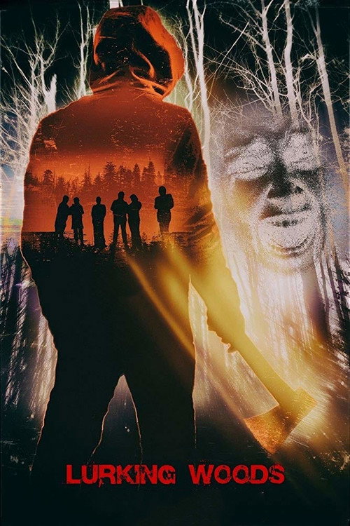 Movie poster for Lurking Woods (2015)
