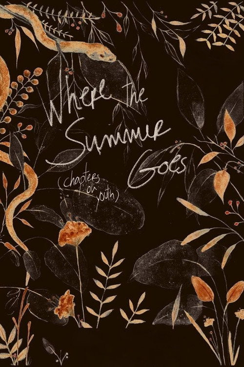 Movie poster for Where the Summer Goes (Chapters on Youth) (2018)