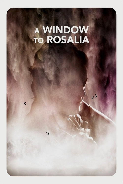 Movie poster for A Window to Rosália (2017)