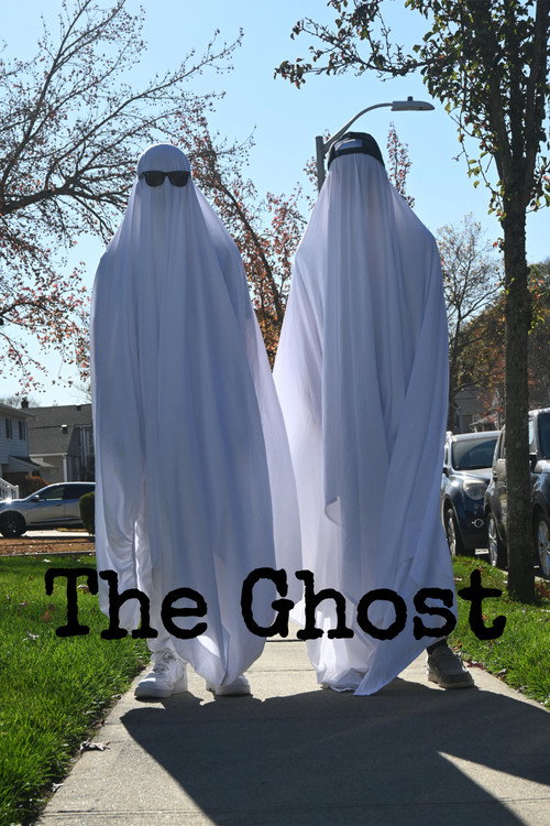 Movie poster for The Ghost (2024)