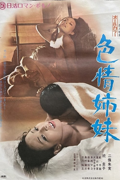 Movie poster for Lusty Sisters (1972)