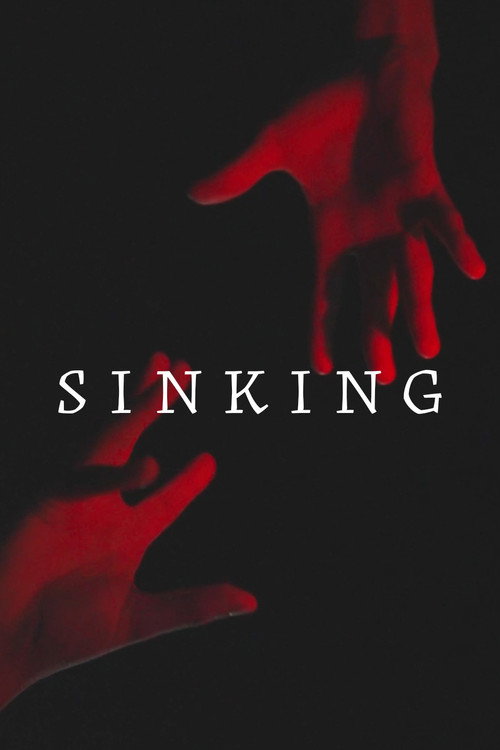 Movie poster for SINKING