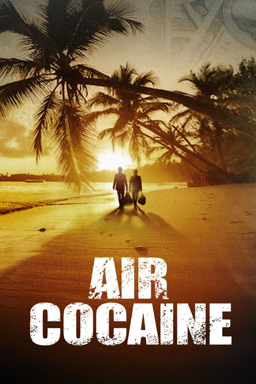 Air Cocaïne poster