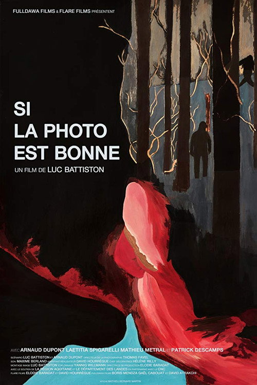 Movie poster for If the Photo Is Good (2015)