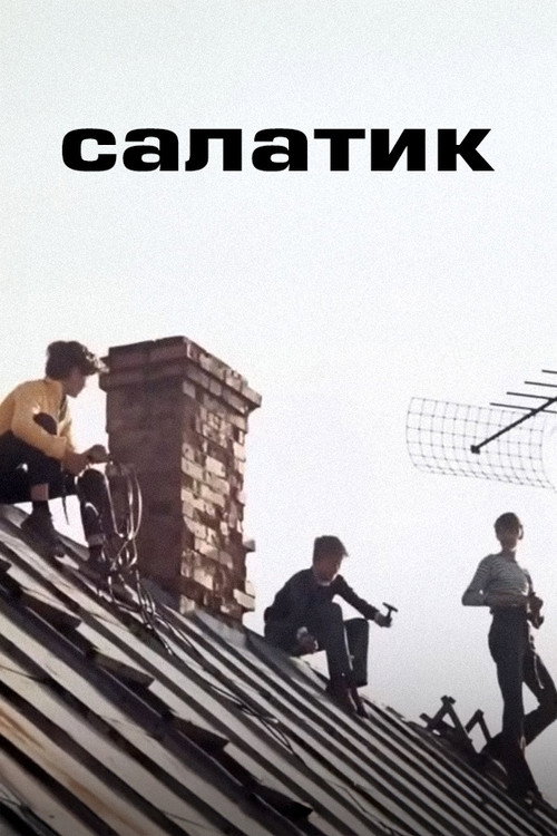Movie poster for Salad (1971)