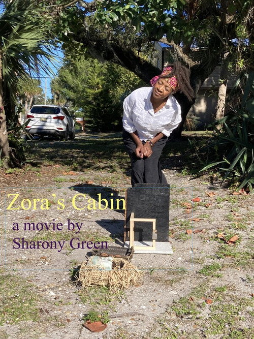 Movie poster for Zora's Cabin