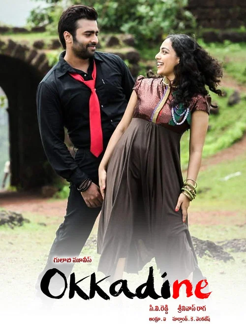 Movie poster for Okkadine (2013)