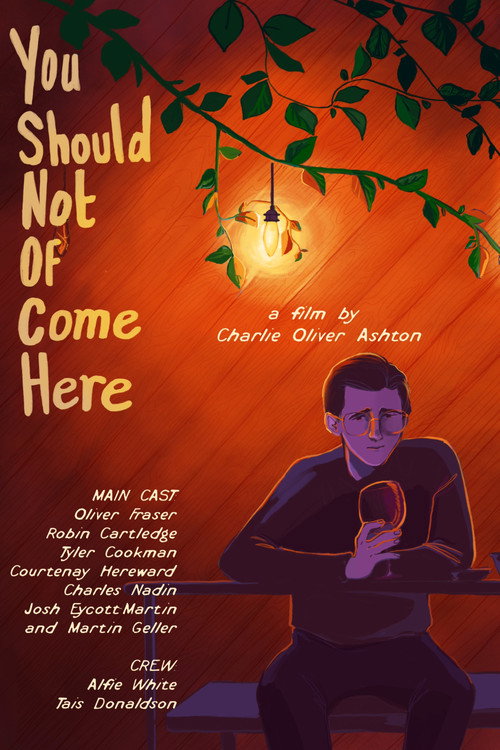 Movie poster for You Should Not Of Come Here