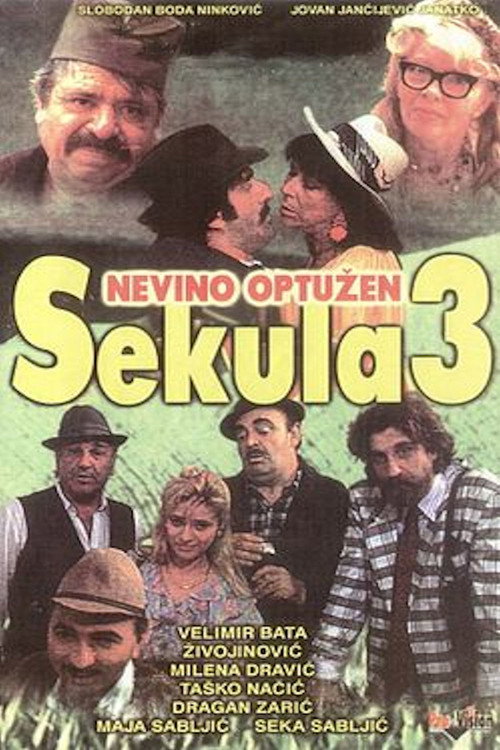 Movie poster for Sekula Innocent Accused (1992)