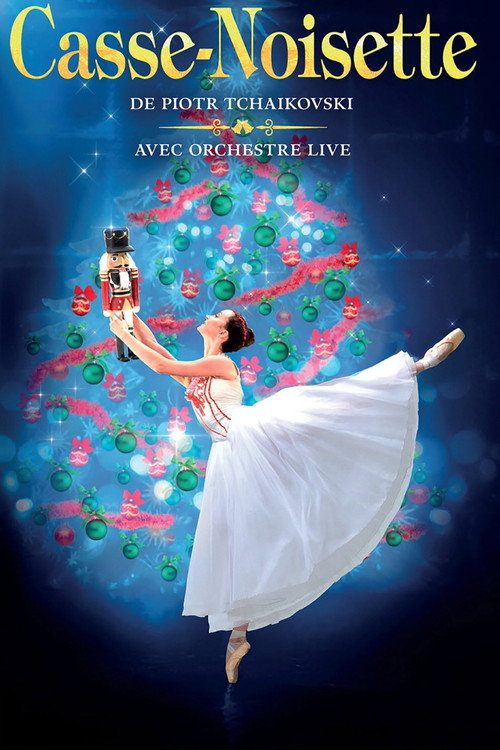 Movie poster for Casse-Noisette (2011)