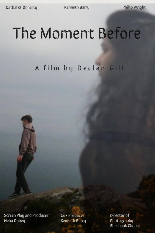 Movie poster for The Moment Before (2025)
